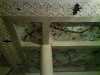dsc00059 dsc00059